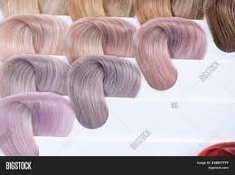 Hair Color Chart Image Photo Free Trial Bigstock