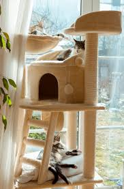 how to build a diy cat tower in 9 steps