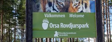 Hur lång tid tar det att gå igenom Orsa Rovdjurspark?