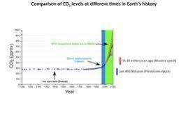 Last Time Carbon Dioxide Levels Were This High 15 Million