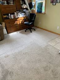 professional carpet and rug cleaning