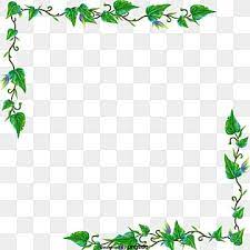 vine frame png transpa images free