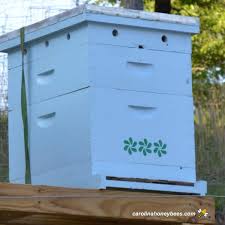 langstroth hive dimensions beekeeper s