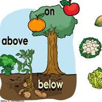 Fruits And Vegetables Preschool Activities Lessons And