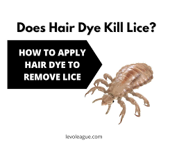 If you want to use dyestuff to do to kill lice, it's suggested that you simply repeat the method each week till the lice and nits square measure fully gone. Does Hair Dye Kill Lice How To Apply Hair Dye To Remove Lice Levo League