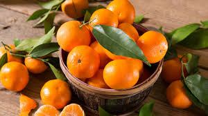 are tangerines good for you 6 amazing