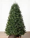 What is the most realistic artificial Christmas tree?