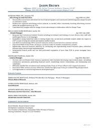 So here we have covered some best ceo resumes which are 100% helpful for the job seekers to grab the chief executive officer job opportunity. Executive Director Resume Examples Resume Professional Writers