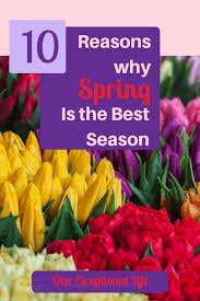 why spring is the best season