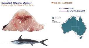 australian tropical foods swordfish