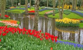 flower garden pictures pictures of