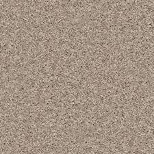 shaw industries bx100 glimmer carpet