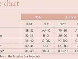 Bra Cup Size Comparison To Fruit Boob Shape Chart Bra Fruit