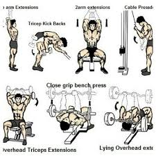 Tricep Workout Chart Tricep Workout Routine