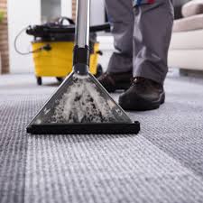 1 house cleaning services st paul mn