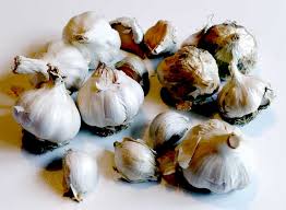 Growing Garlic In The City Diary Of A