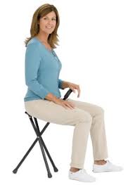 Image result for seat cane