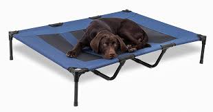 Choosing A Raised Dog Bed A Review Of The Best Elevated