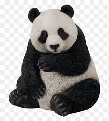 Giant Panda Png Images Pngegg