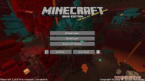 minecraft 1 16 5 official