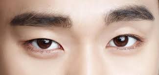 The perfect eye shape for a fierce cat eye, compton notes, as it will allow for some lift. Question Peach Blossom Eyes Novel Updates Forum