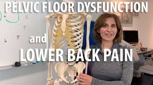 how lower back pain and pelvic floor