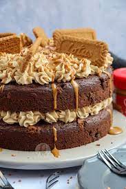 Chocolate Biscoff Cake gambar png