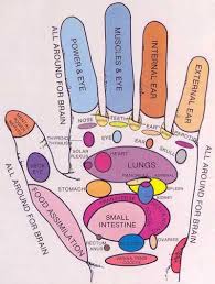 Hand Reflexology Hand Reflexology Reflexology Massage