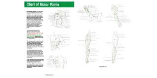 Trigger Point Chart Acupuncture Lasers Net