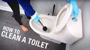 how to clean a toilet in less than 3
