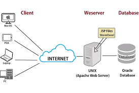 Penggunaan Web Server dalam Website: Fondasi Kesuksesan Online