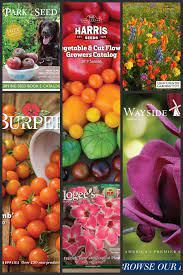 9 great garden catalogs in 2019 home