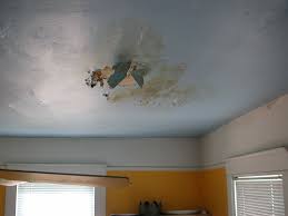 i have a water damaged ceiling what
