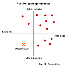 Position Perception Maps
