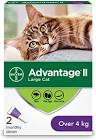 II for Large Cats Advantage