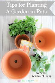 Tips For Planting A Garden Using Pots