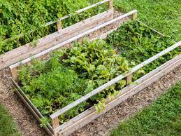 tips for designing raised garden beds