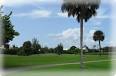 Alden Pines Golf Course - Pine Island, Florida