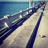 sunshine skyway fishing pier 16 tipps