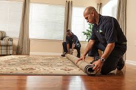 stop mold spread in your carpets