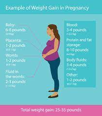nutrition in pregnancy and lactation