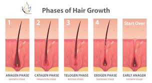 Learn To Minimize Hair Loss What To Do When Your Hair Starts