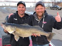 State Walleye Record