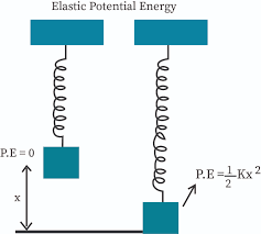 Spring Potential Energy Bartleby