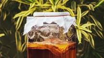 What to expect when you start drinking kombucha?