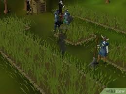 One of the things players can do in runescape is raise pets. How To Farm On Runescape 8 Steps With Pictures Wikihow