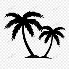 palm tree images hd pictures for free