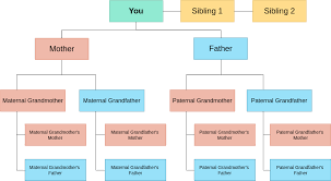 simple family tree family tree template