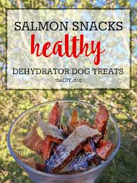 salmon snack dehydrator dog treats
