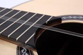 Image result for guitar vibrates